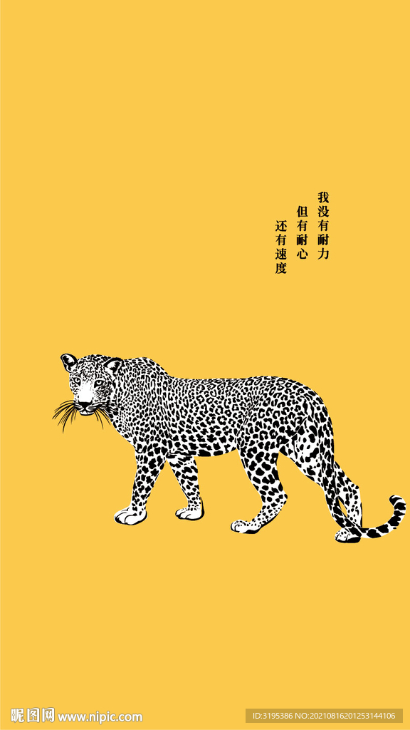 猎豹
