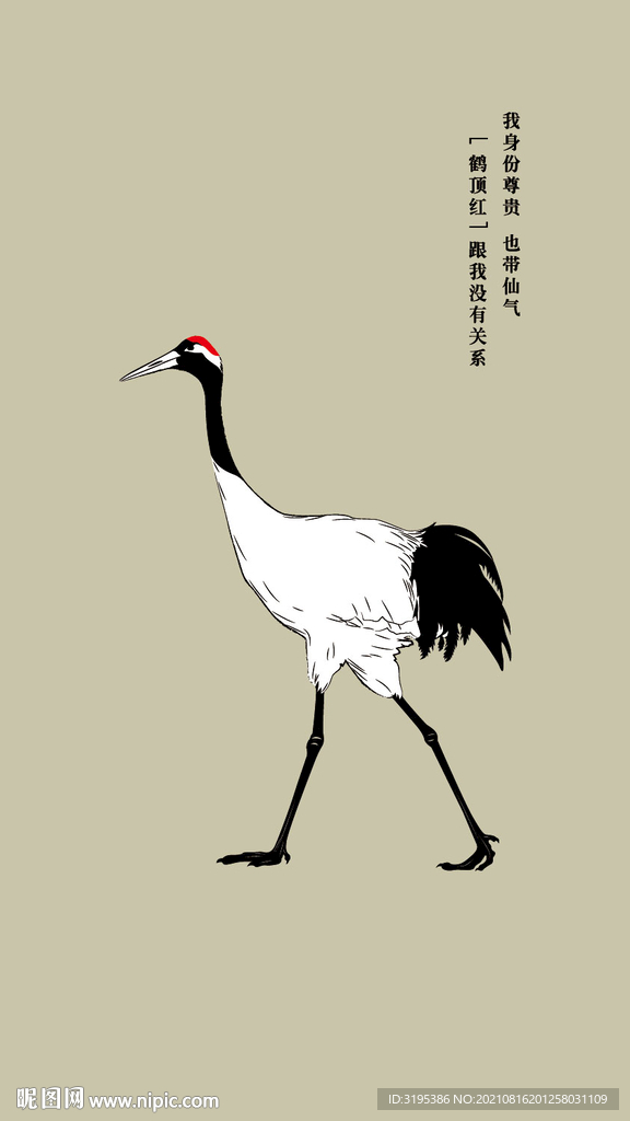丹顶鹤