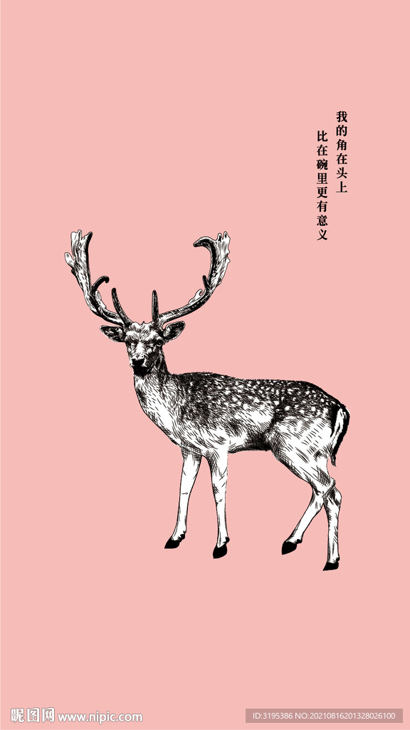 梅花鹿