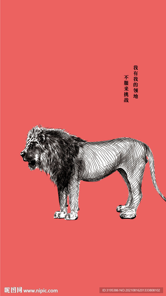 狮子 野生动物
