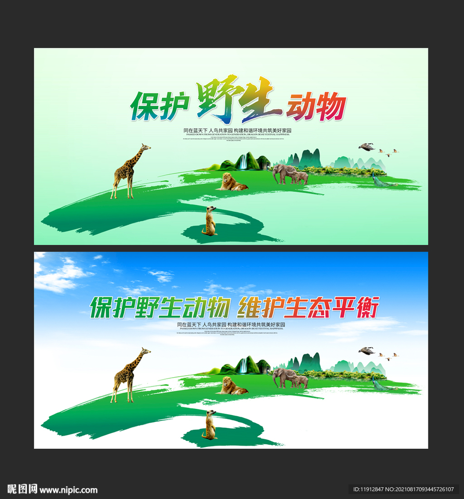 保护野生动物