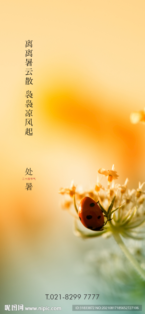 处暑