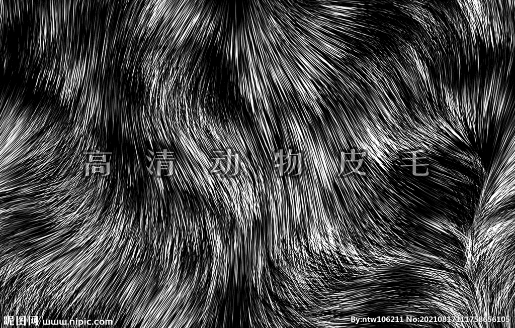 动物毛