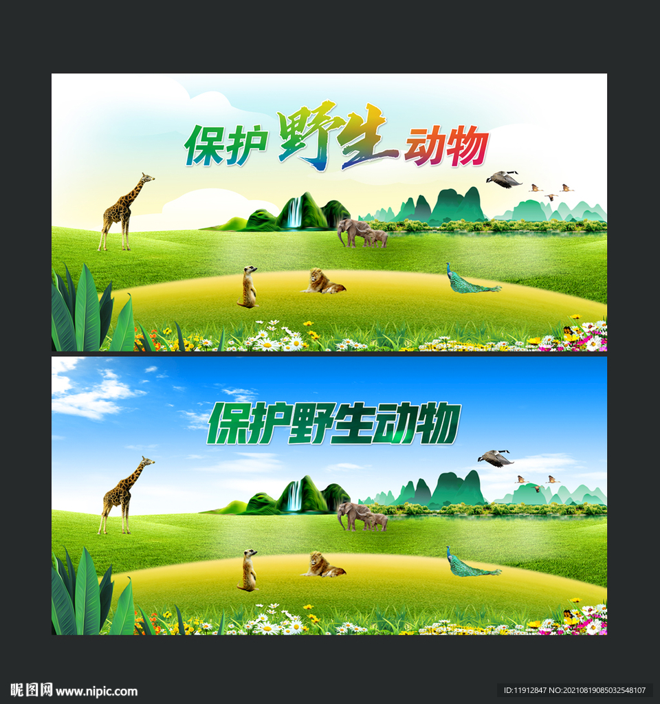 保护野生动物