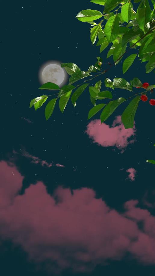 抖音原创高清月夜粉色云层