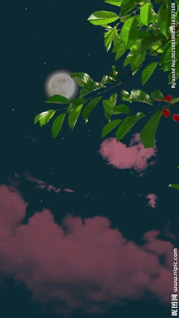 抖音原创高清月夜粉色云层
