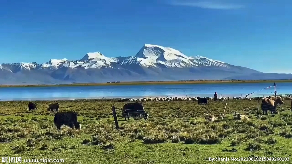 风景 雪山 湖泊