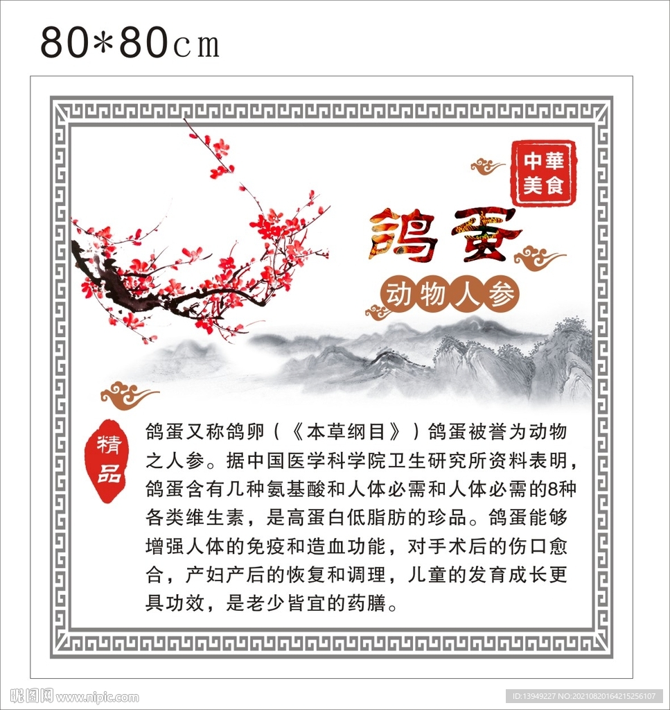 鸽蛋简介