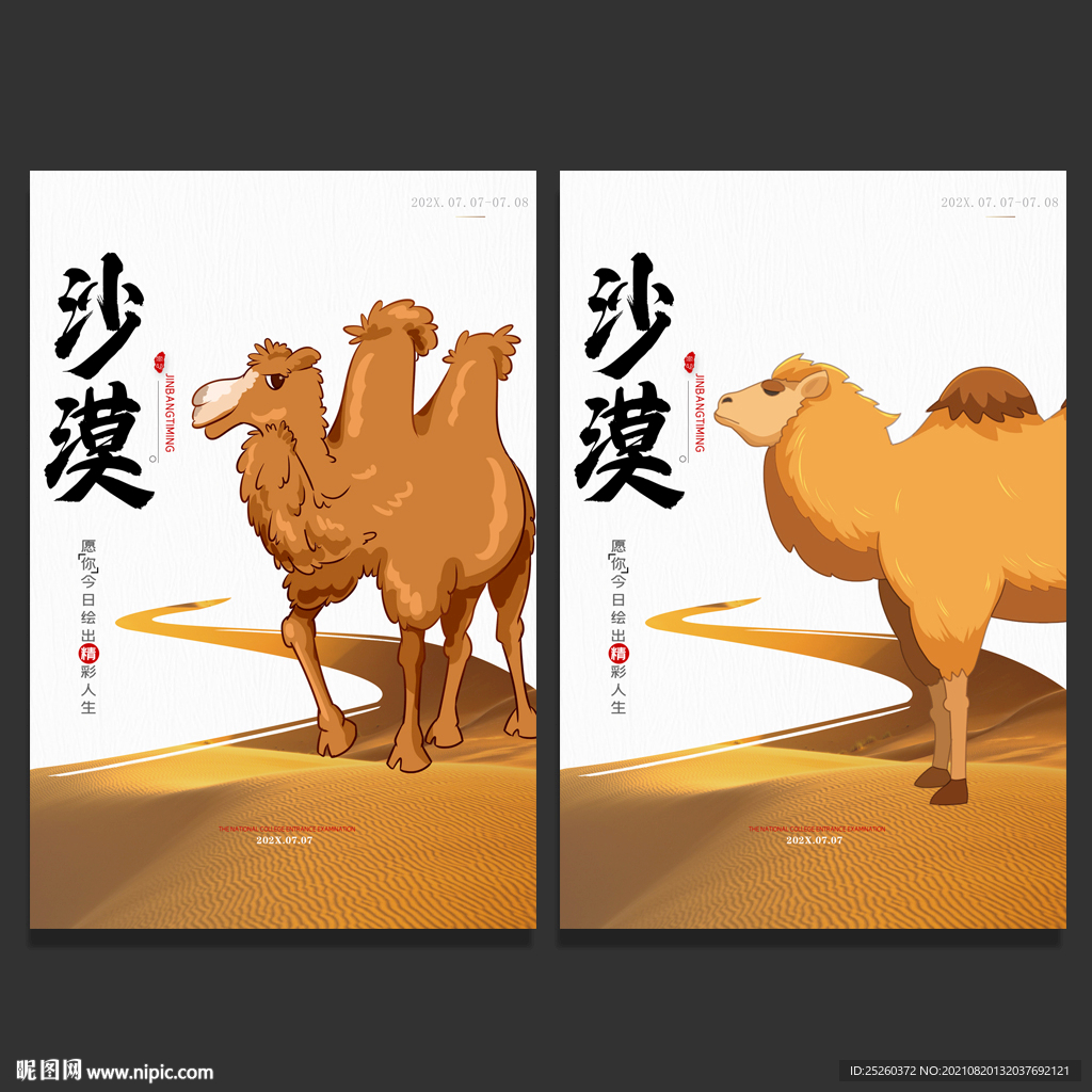 沙漠