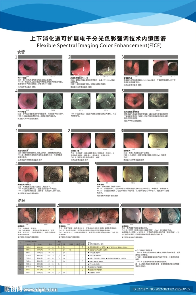 上下消化道可扩展电子分光色彩强