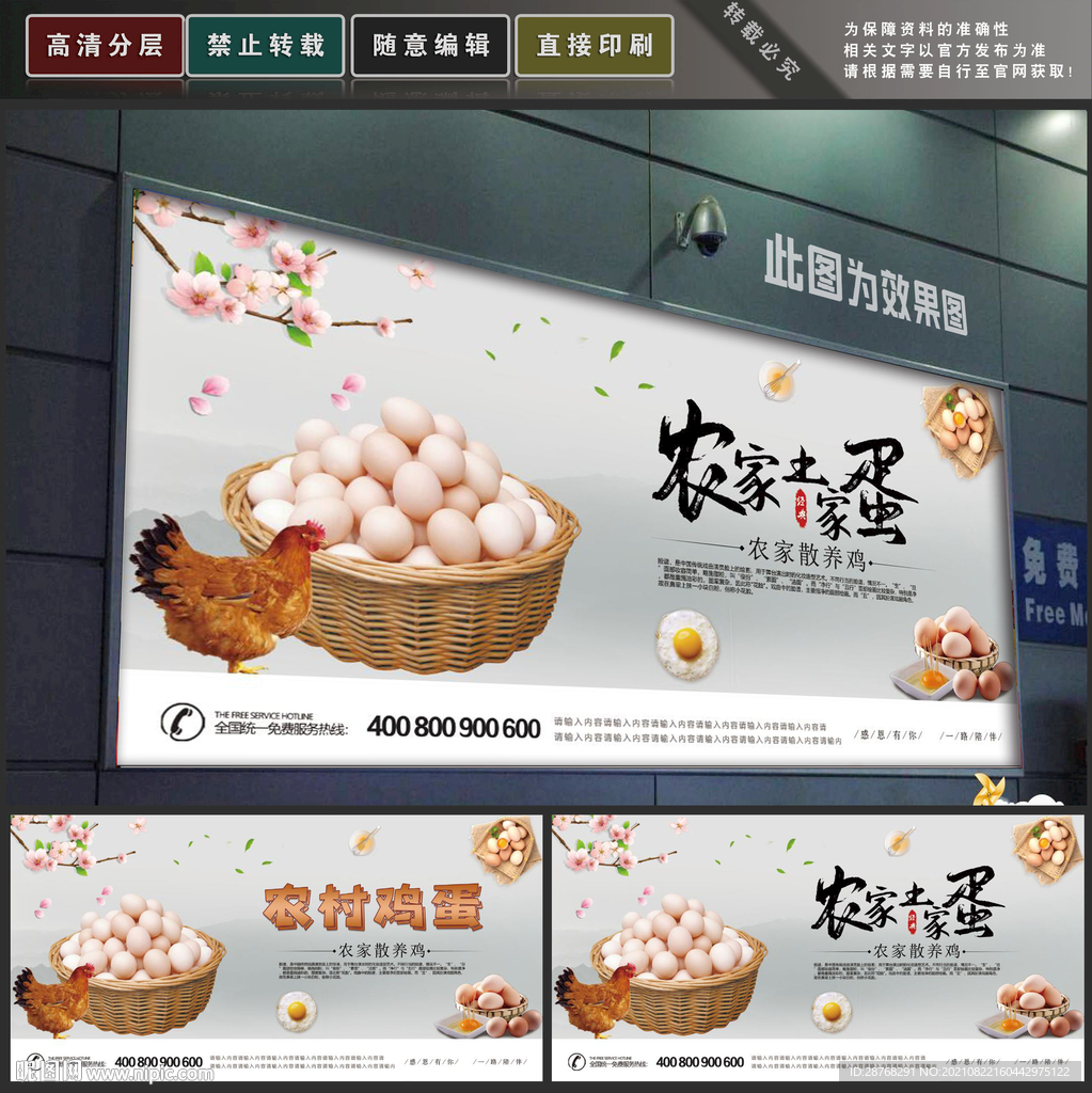 土鸡蛋