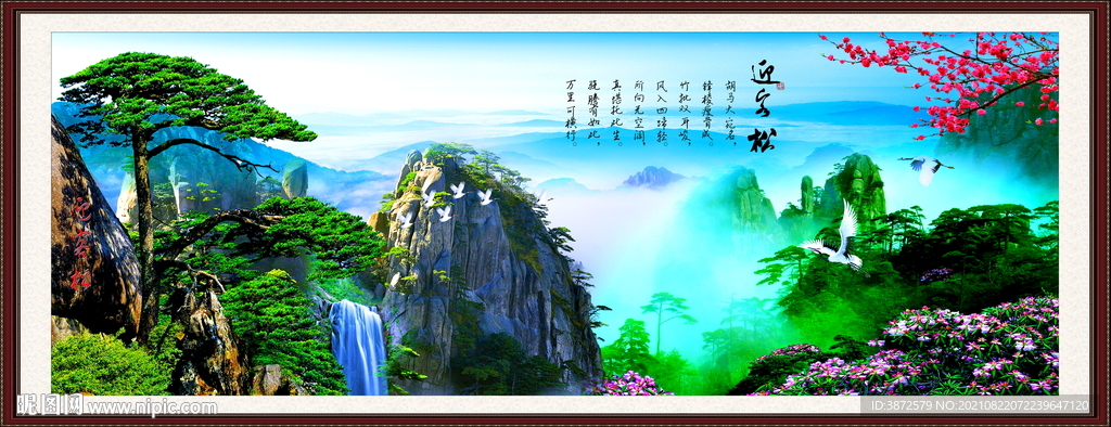 迎客松 
