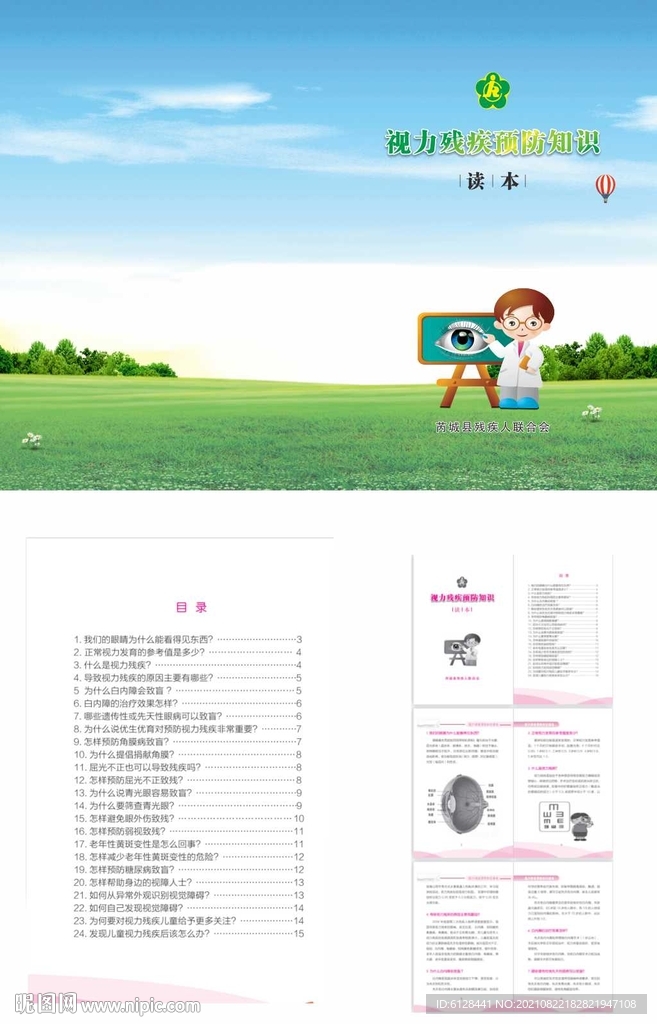 视力残疾预防手册读本