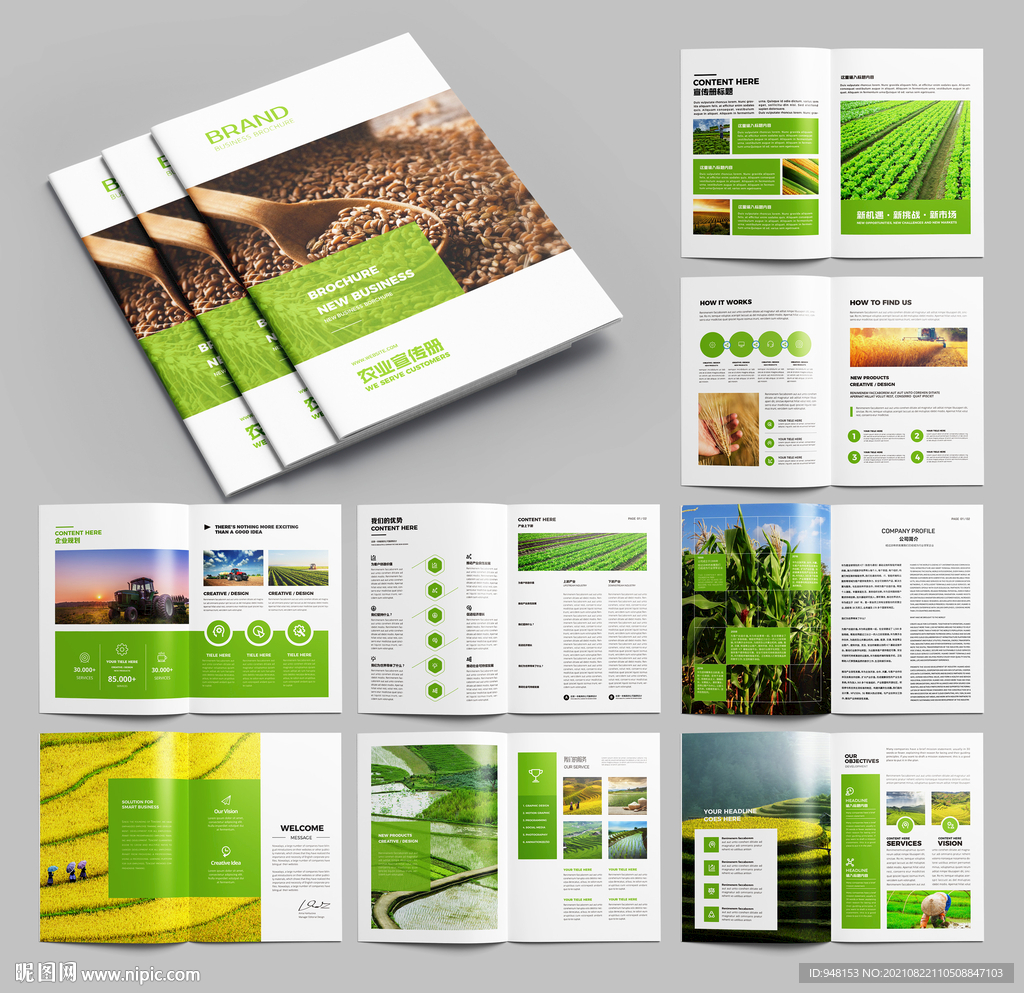农业画册 农产品宣传册