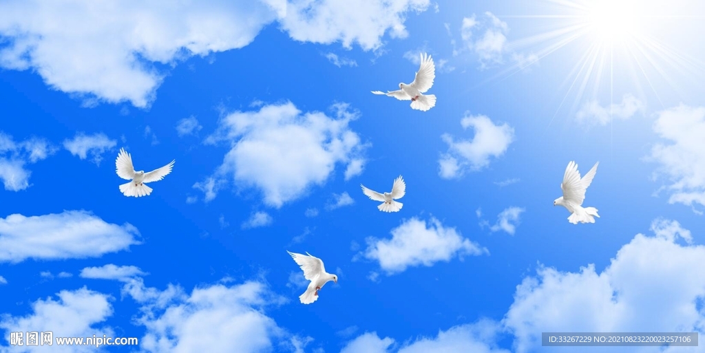 蓝天白云鸽子