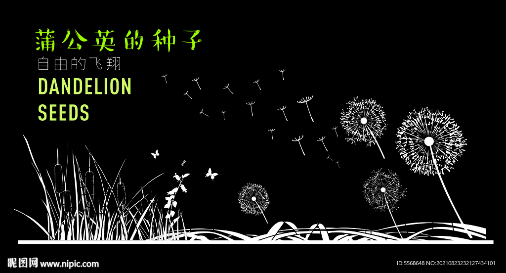 蒲公英 