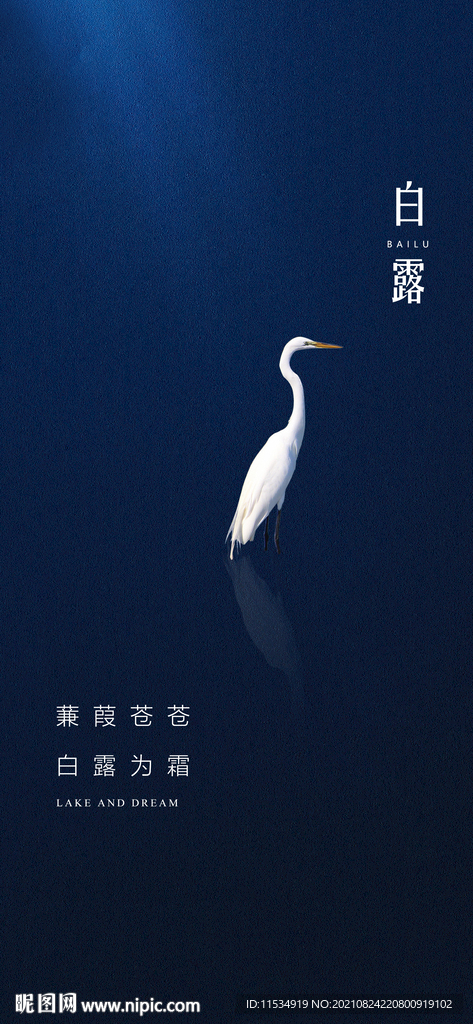 白露节气海报
