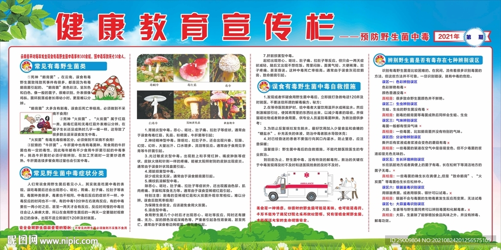 健康教育宣传栏之预防野生菌中毒