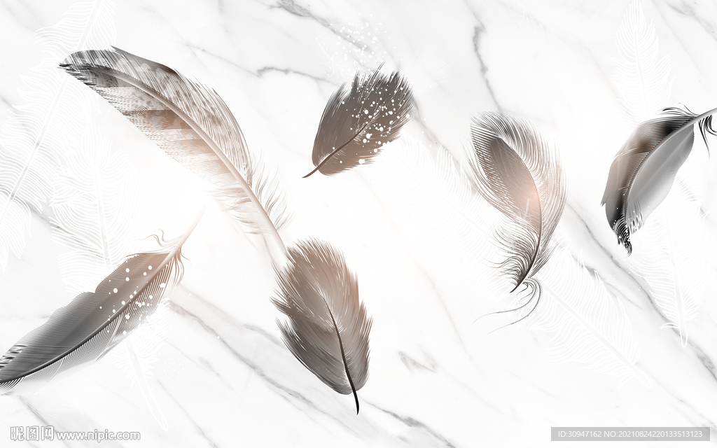 羽毛客厅爵士白 TIF分层画