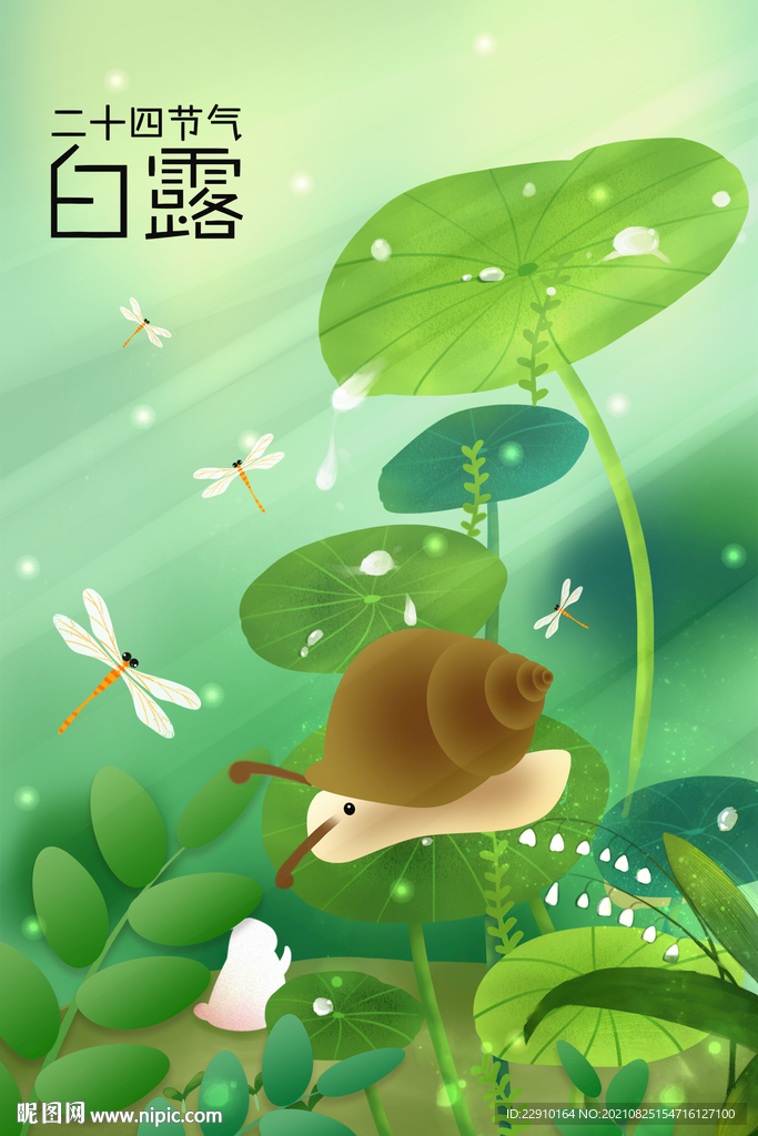 白露插画