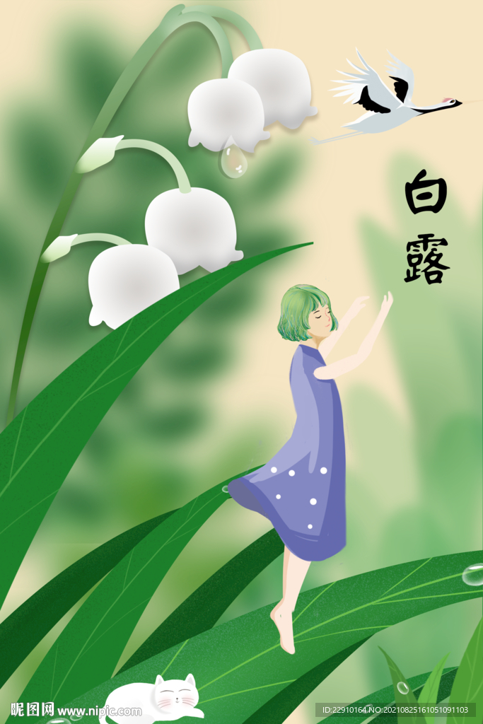 白露插画
