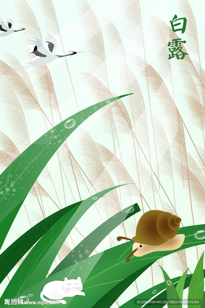 白露插画
