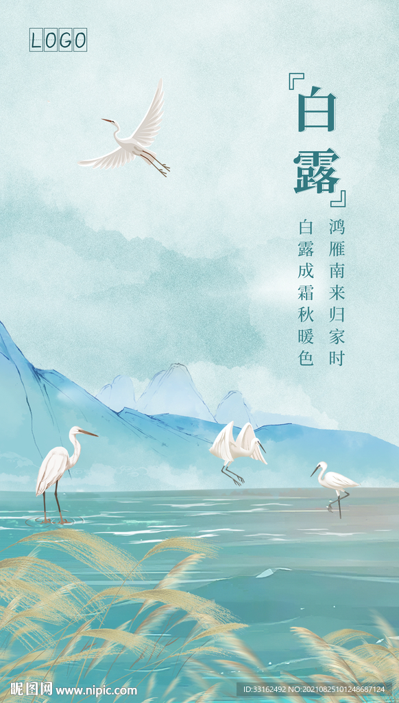 白露图片