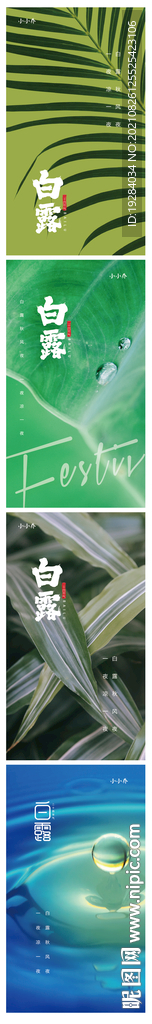 白露