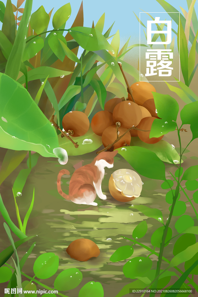 白露插画