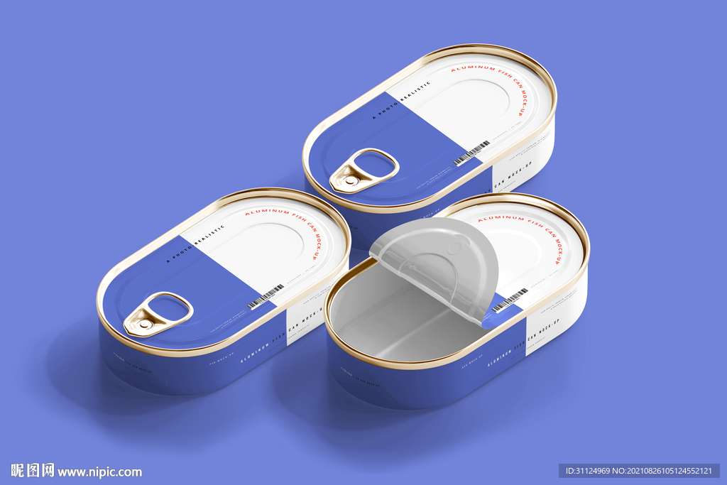 多视角铝制鱼罐头盒模型