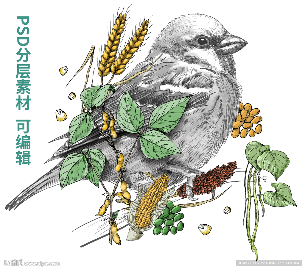 麻雀杂粮