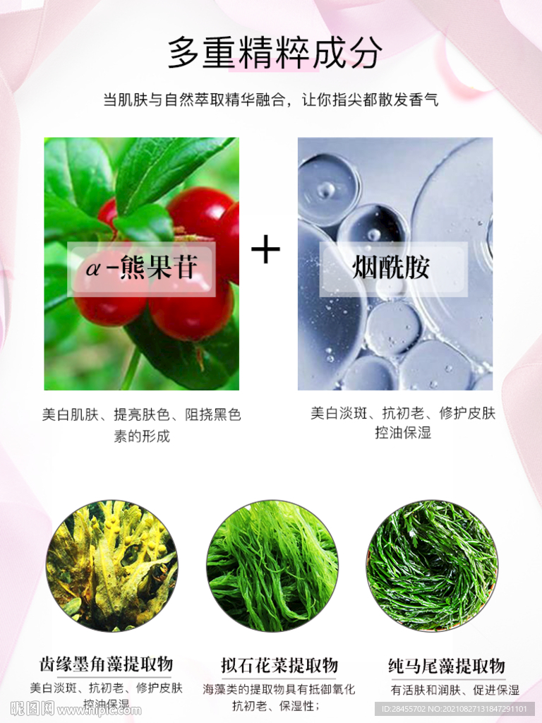 成分说明