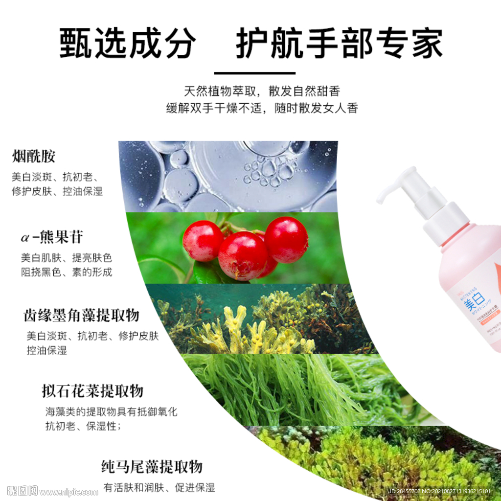成分