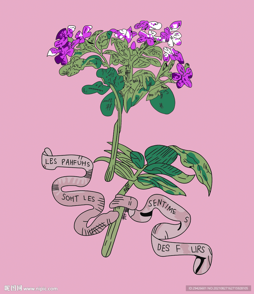 大牌花