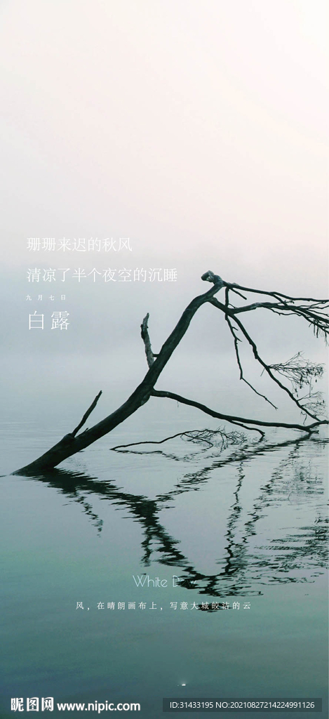 白露海报设计