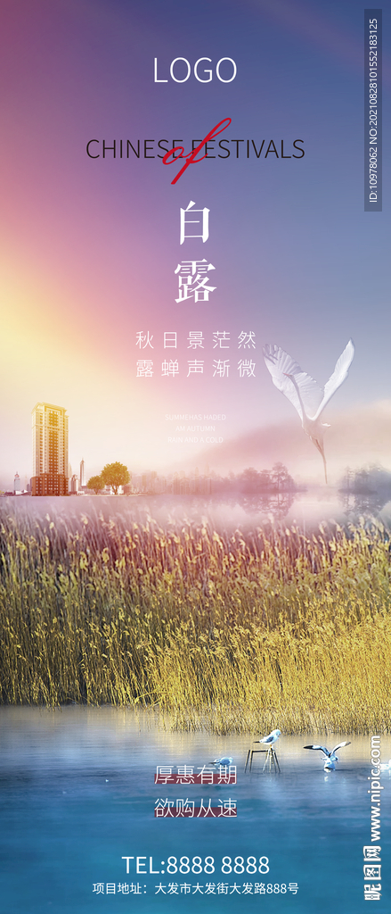 白露