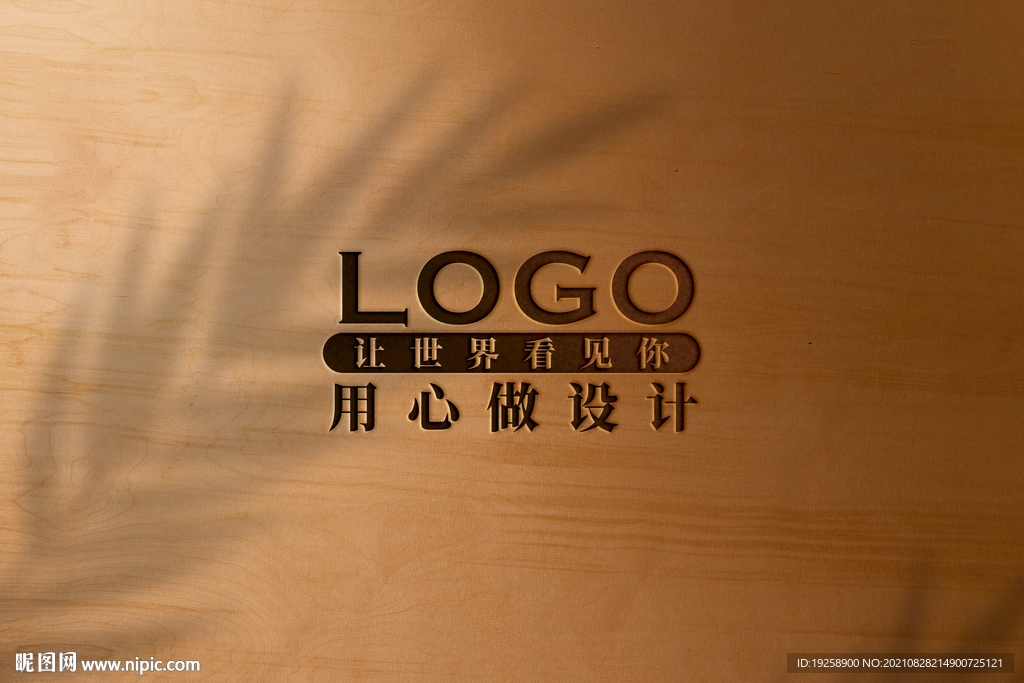 高端LOGO样机