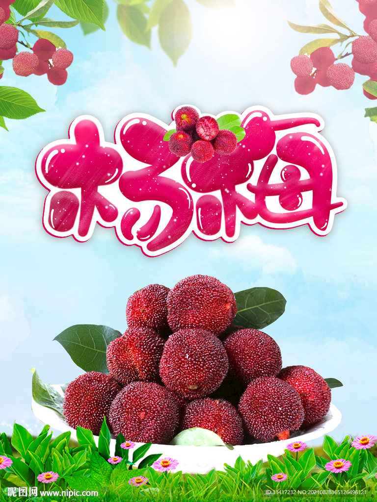 杨梅