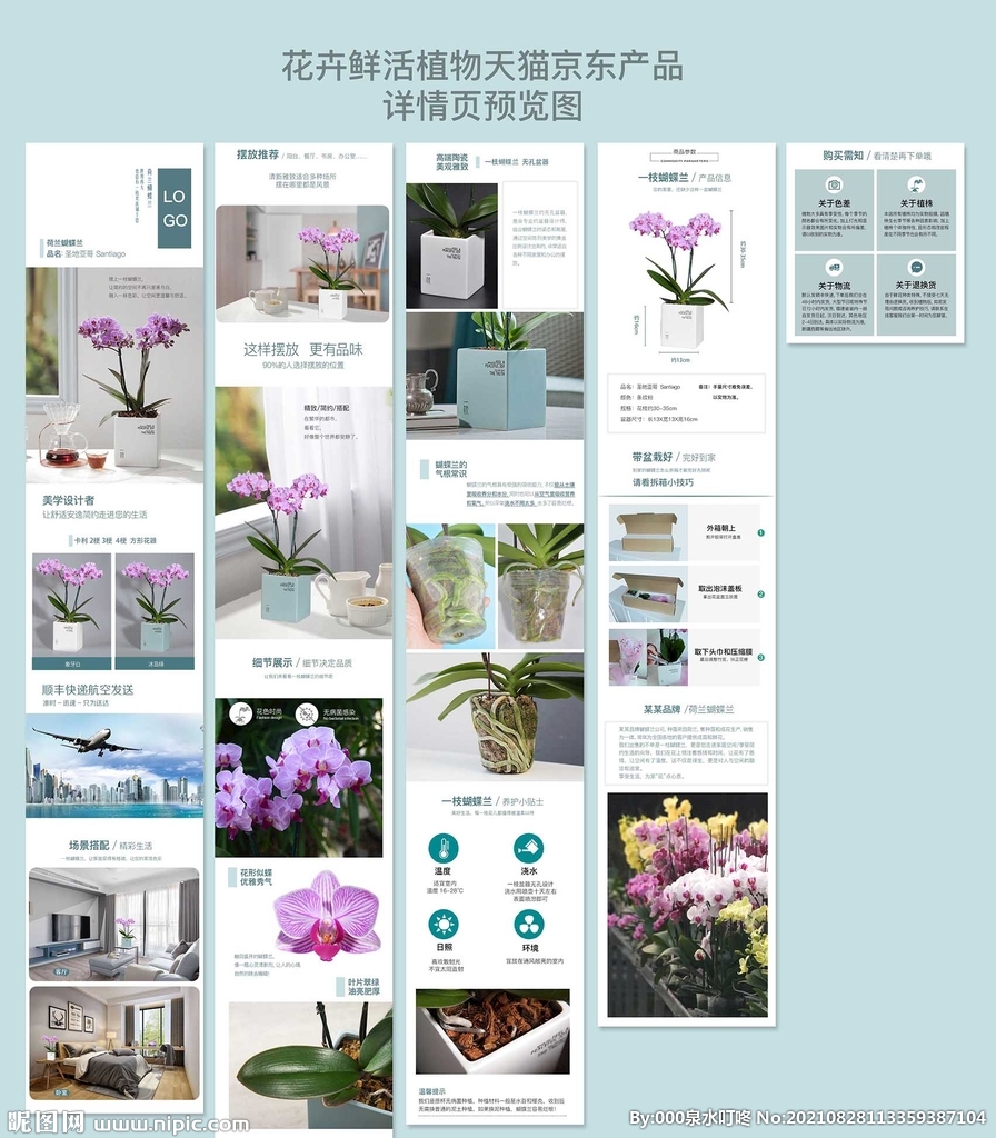 花卉鲜活植物产品详情页