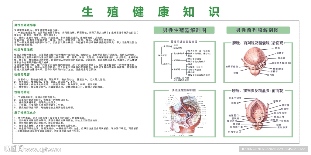 生殖健康知识