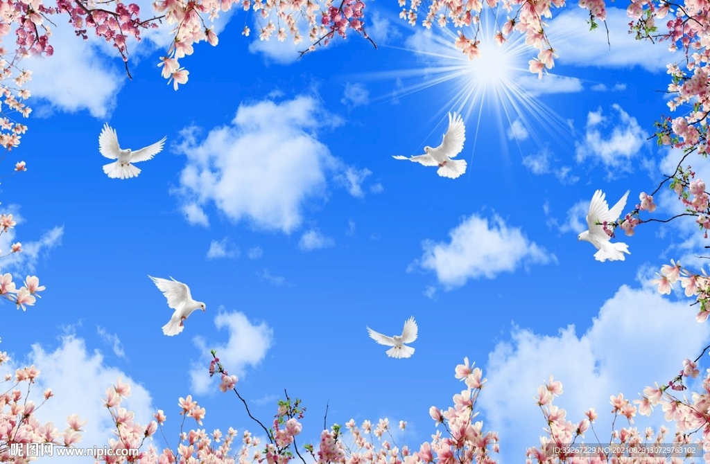 蓝天白云鸽子