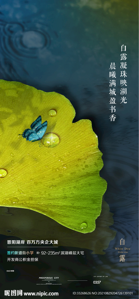 白露