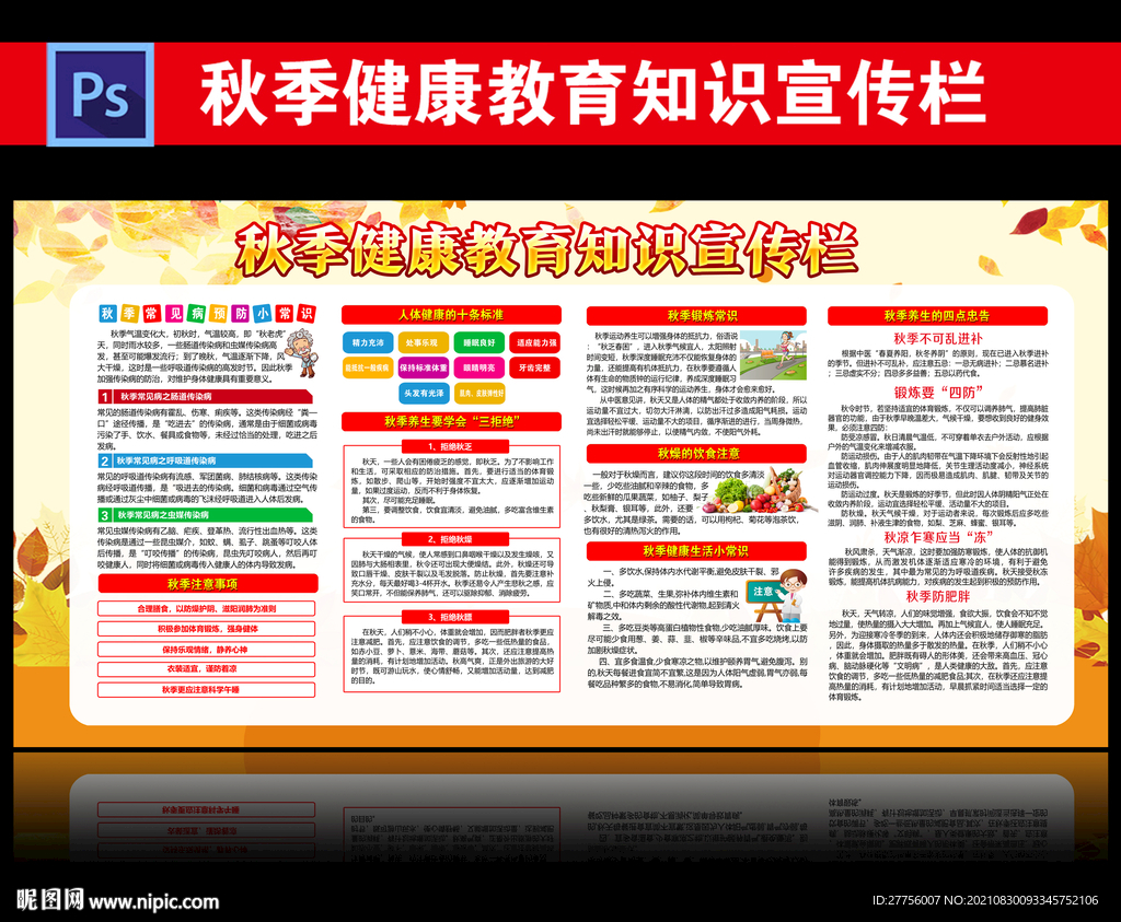 秋季健康教育宣传栏