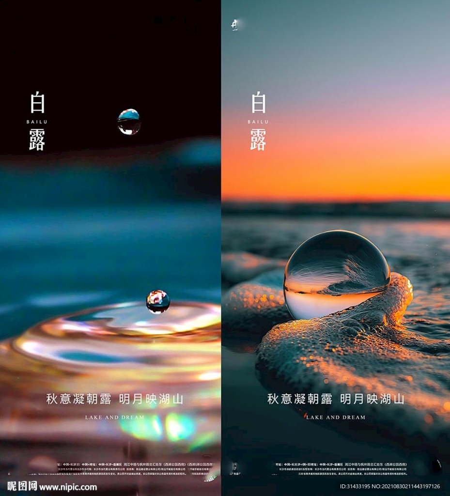 地产白露