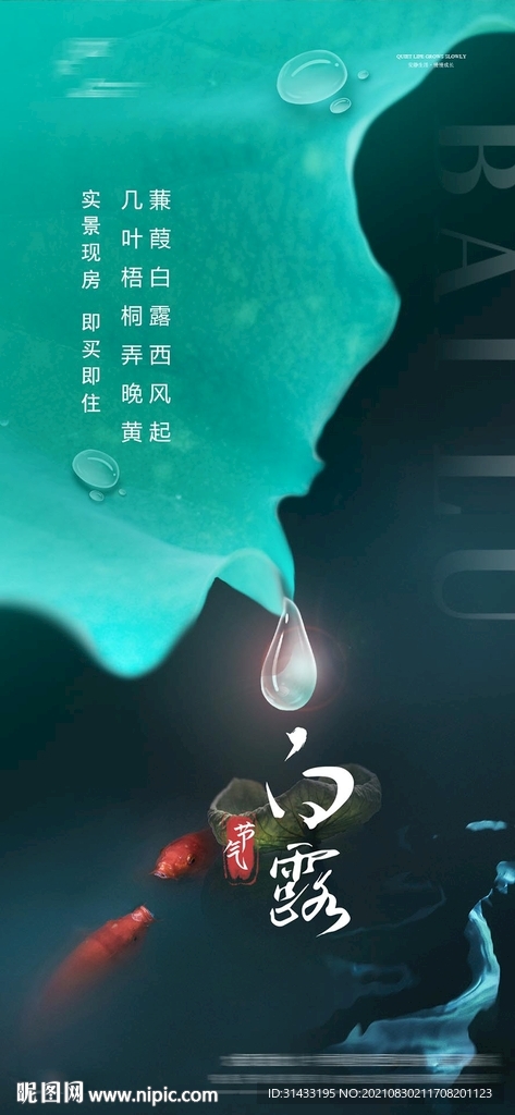 地产白露