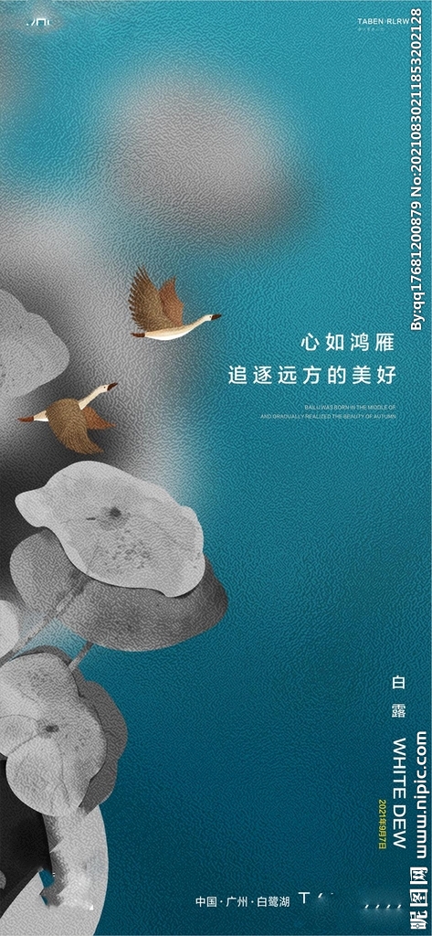 地产白露