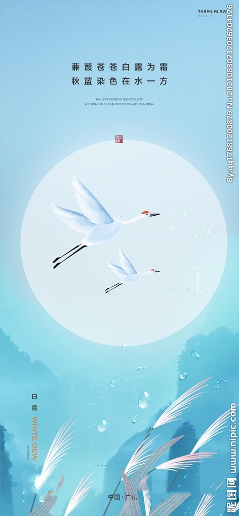 地产白露
