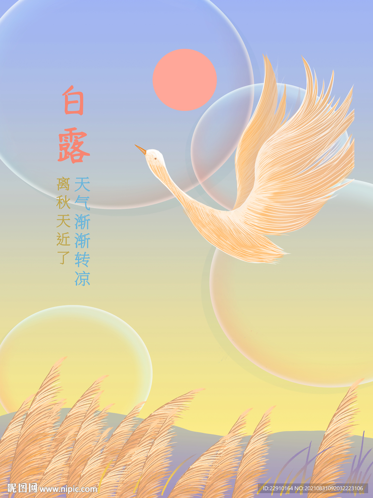 白露插画