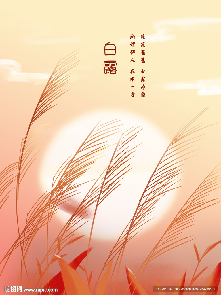 白露插画