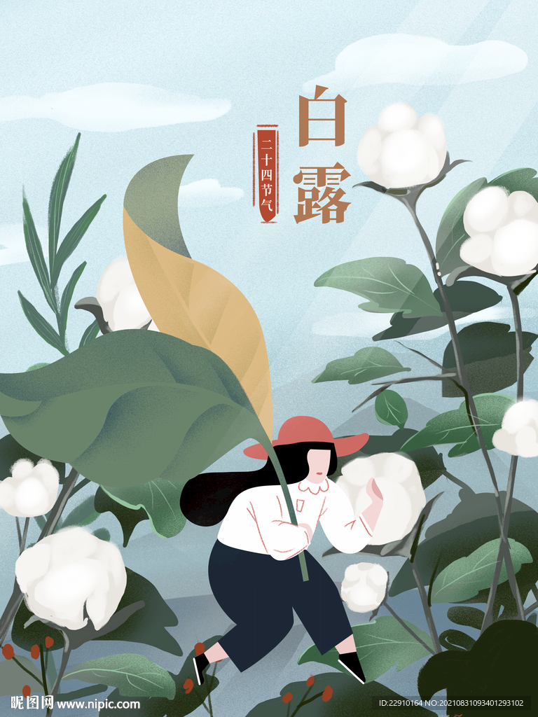 白露插画